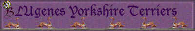 BLUgenesbanner.jpg (4530 bytes)
