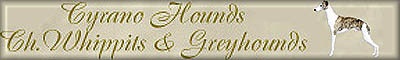 CyranoHounds.jpg (7083 bytes)