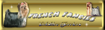 FrenchFancieslogo.JPG (17166 bytes)