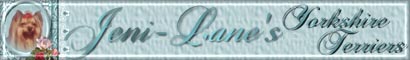Jeni-lanebanner.jpg (10577 bytes)
