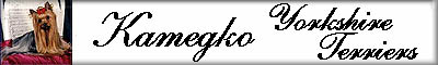 Kamegkobanner.jpg (4577 bytes)
