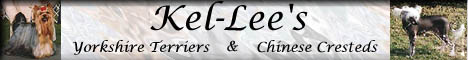 Kel-leesbanner.jpg (13304 bytes)