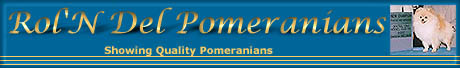 RolNdelbanner.jpg (16206 bytes)