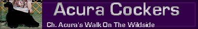 acuracocker.jpg (11844 bytes)
