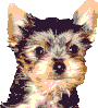 anatalk.gif (9337 bytes)