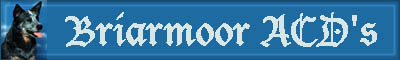 briarmooracds.jpg (11256 bytes)