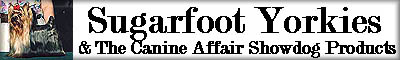 canineaffairyork.JPG (4634 bytes)
