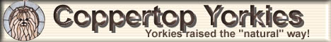 coppertopbanner.jpg (13118 bytes)