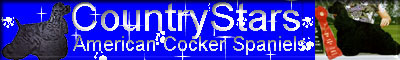 countrystarcockers.JPG (23149 bytes)