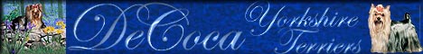 decocabanner.jpg (13709 bytes)