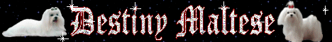 destinymaltesebanner.gif (22476 bytes)