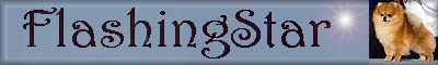 flashingstar.jpg (10073 bytes)