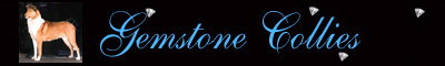 gemstonebanner.jpg (21549 bytes)