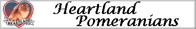 heartlandpoms.jpg (12938 bytes)