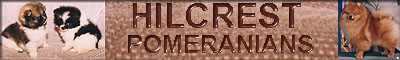 hilcresct.jpg (15740 bytes)