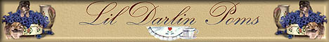 lildarlinbanner.jpg (13440 bytes)