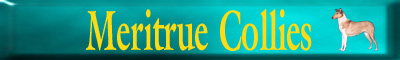 meritruebanner.jpg (25297 bytes)