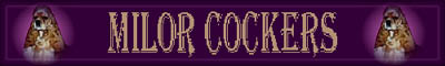 milorcockers.jpg (9535 bytes)