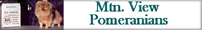 mtnviewpom.jpg (10323 bytes)