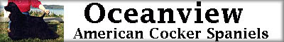 oceanviewcocker.jpg (12702 bytes)