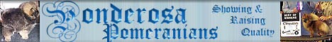 pbanner.gif (20269 bytes)
