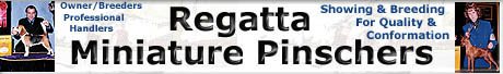 regattabanner.jpg (17164 bytes)