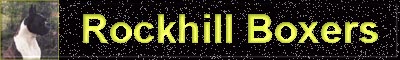 rockhillboxers.JPG (17493 bytes)