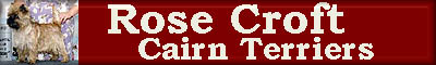 rosecroftcairn.jpg (13912 bytes)