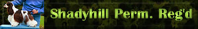shadyhillcocker.jpg (11843 bytes)