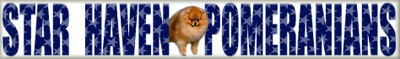 starhavaenlogo.jpg (40900 bytes)