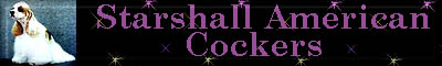 starshallcocker.jpg (11688 bytes)