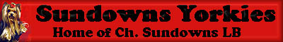 sundownsyork.jpg (13182 bytes)