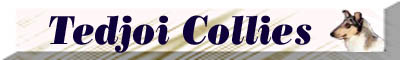 tedjoicollie.jpg (15967 bytes)