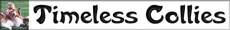 timelesscollies.jpg (11844 bytes)