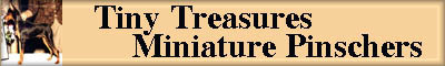 tinytreasmin.jpg (13661 bytes)
