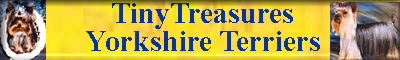 tinytreasures.jpg (14528 bytes)