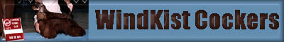 windkistcocker.jpg (10477 bytes)