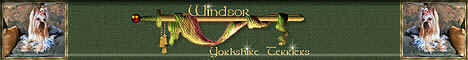 windsoryt.jpg (20014 bytes)