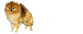 animax1.gif (36830 bytes)