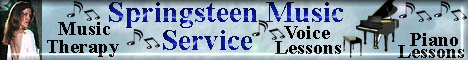 springsteenbanner.jpg (17381 bytes)