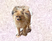 babygirl5-07a.jpg (14640 bytes)