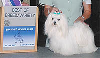 BOB7-15-07a.jpg (10986 bytes)