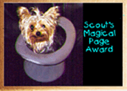 Scout's Magical Page
       Award