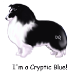 Hello, I'm a cryptic blue.