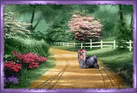 Road