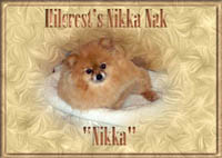 Nikka.jpg (11183 bytes)