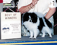 reggiecardsm.jpg (9269 bytes)