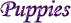 puppybut.gif (2656 bytes)