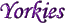 yorkiesbut.gif (2496 bytes)