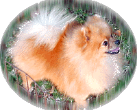 dustina.jpg (25461 bytes)